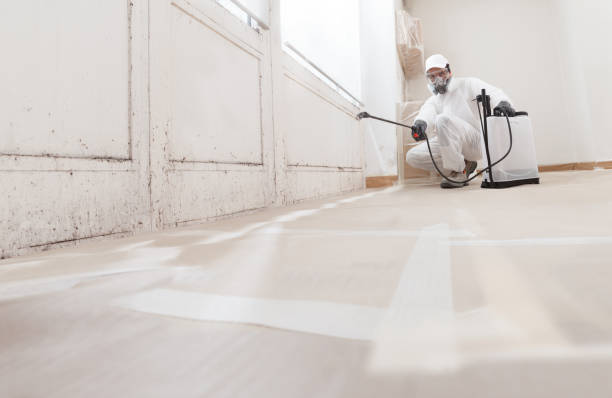 24/7 Emergency Mold Inspection experts in Princeton, NJ