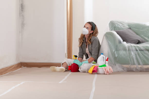 Reliable Mold Inspection contractor in Princeton, NJ by WQB Mold Removal