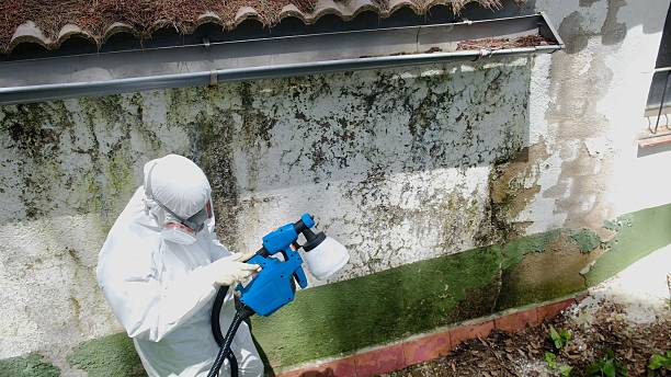 Top rated local Mold Inspection specialists in Princeton, NJ